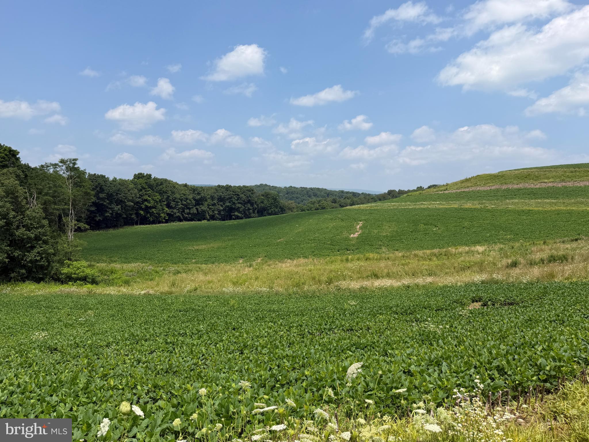 361 Caney Valley Road Markleysburg, PA 15459 - Photo 48 of 91 Gallery Image 48