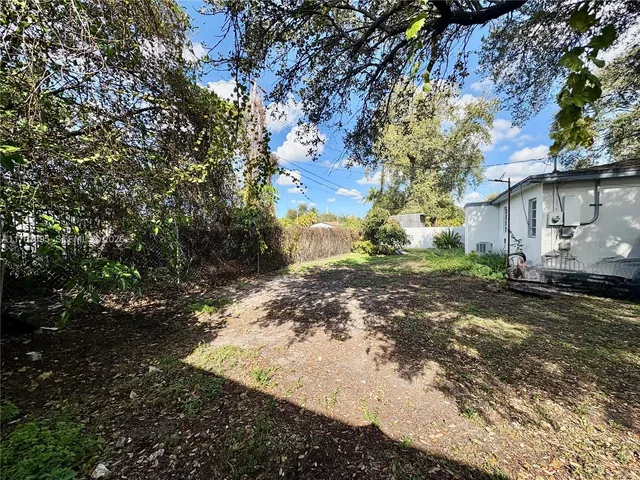 a view of a yard with plants and large trees