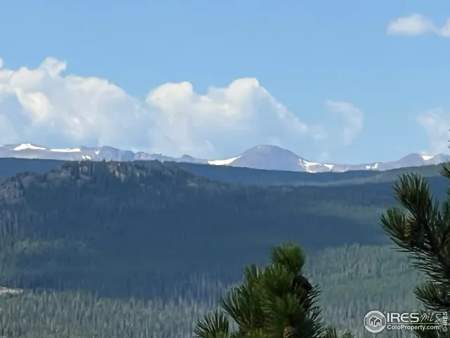 a view of a lake in middle of the forest