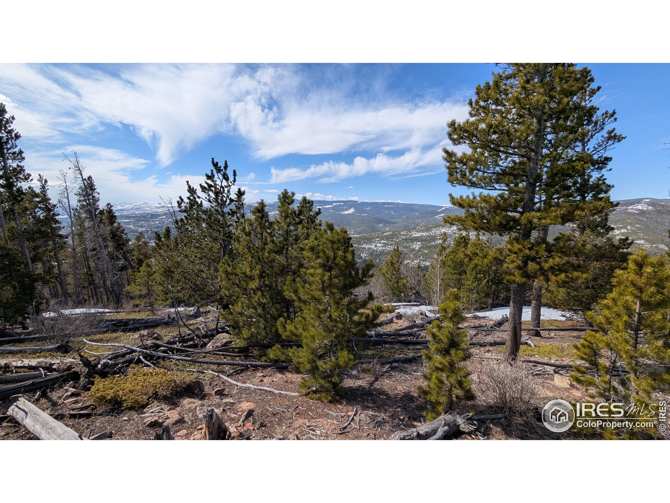 2182 Osage Trail Red Feather Lakes, CO 80545 - Photo 11 of 43