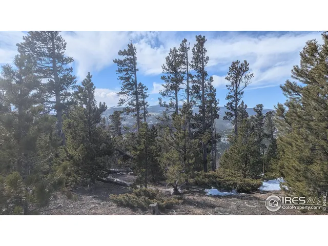a black and white photo of a house