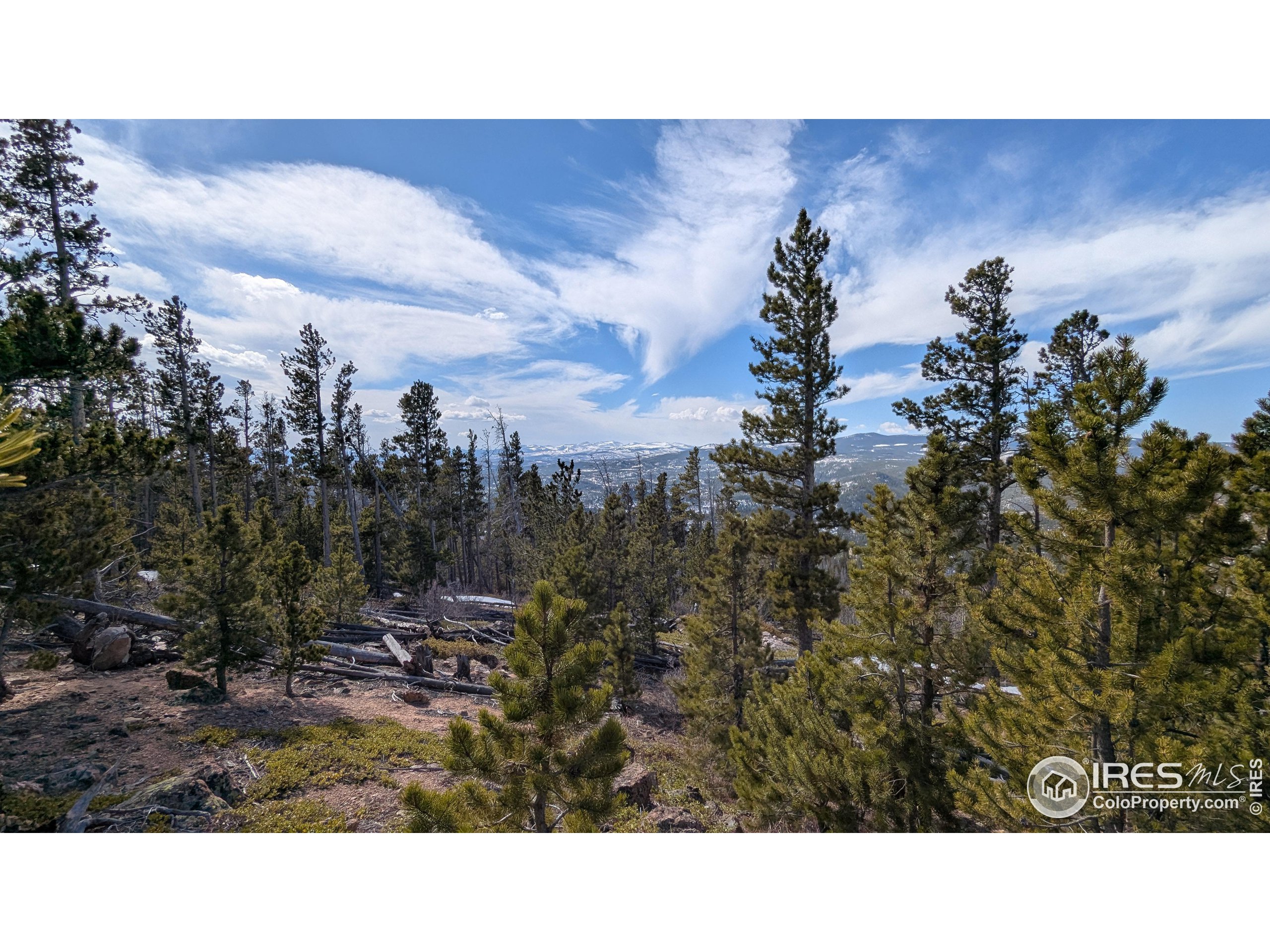 2182 Osage Trail Red Feather Lakes, CO 80545 - Photo 12 of 43 a picture of a city