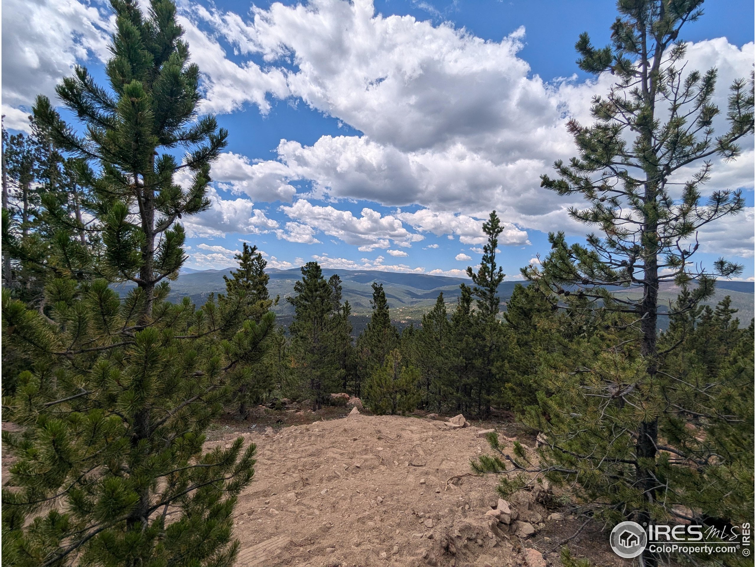 2182 Osage Trail Red Feather Lakes, CO 80545 - Photo 13 of 43 a view of a bunch of trees