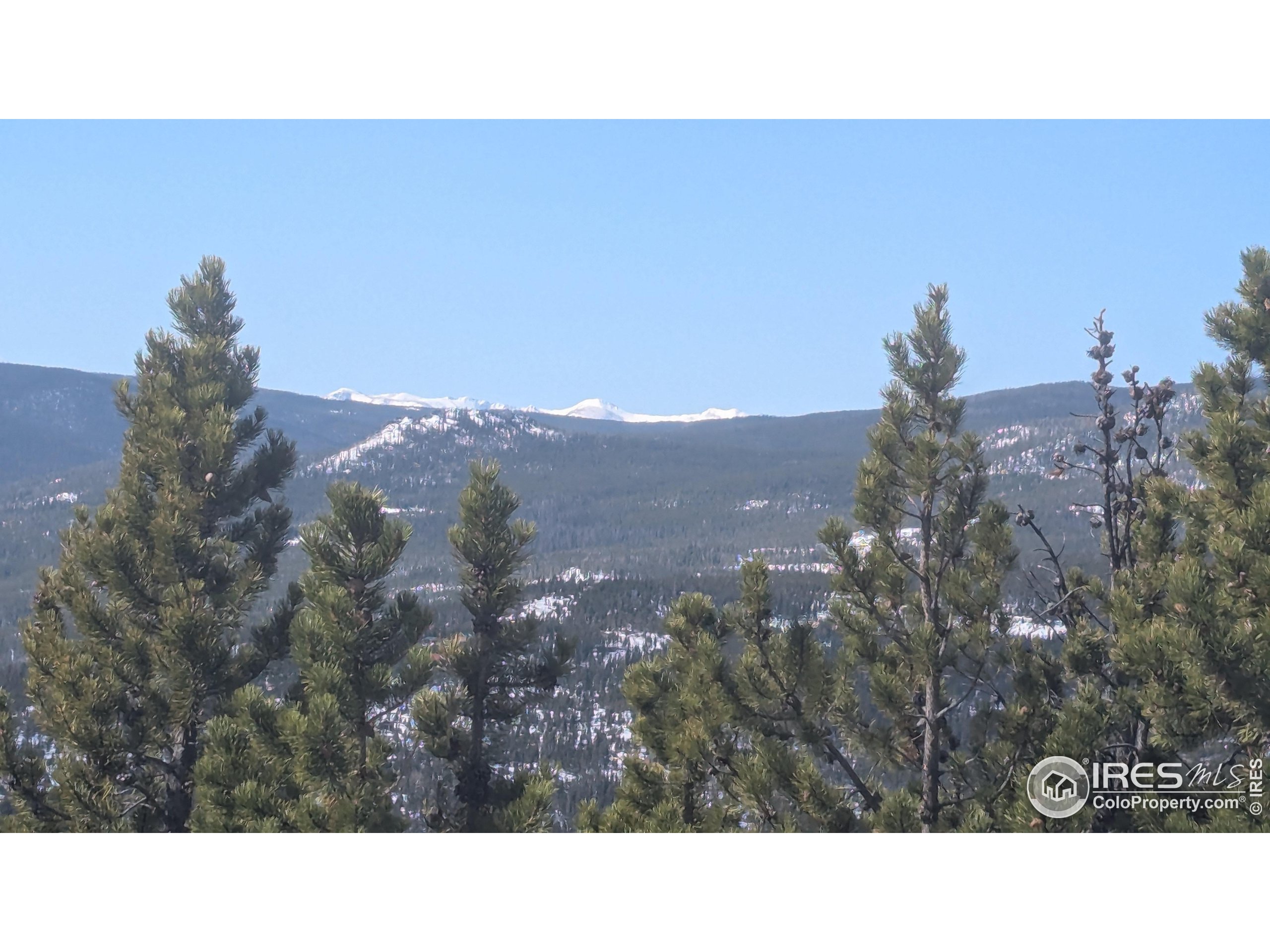 2182 Osage Trail Red Feather Lakes, CO 80545 - Photo 16 of 43 a black and white photo of a city
