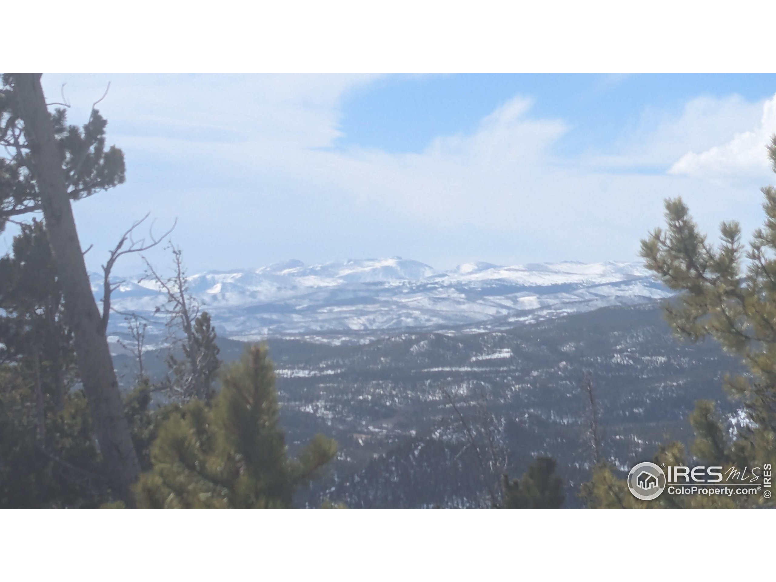 2182 Osage Trail Red Feather Lakes, CO 80545 - Photo 17 of 43 a black and white photo of a house