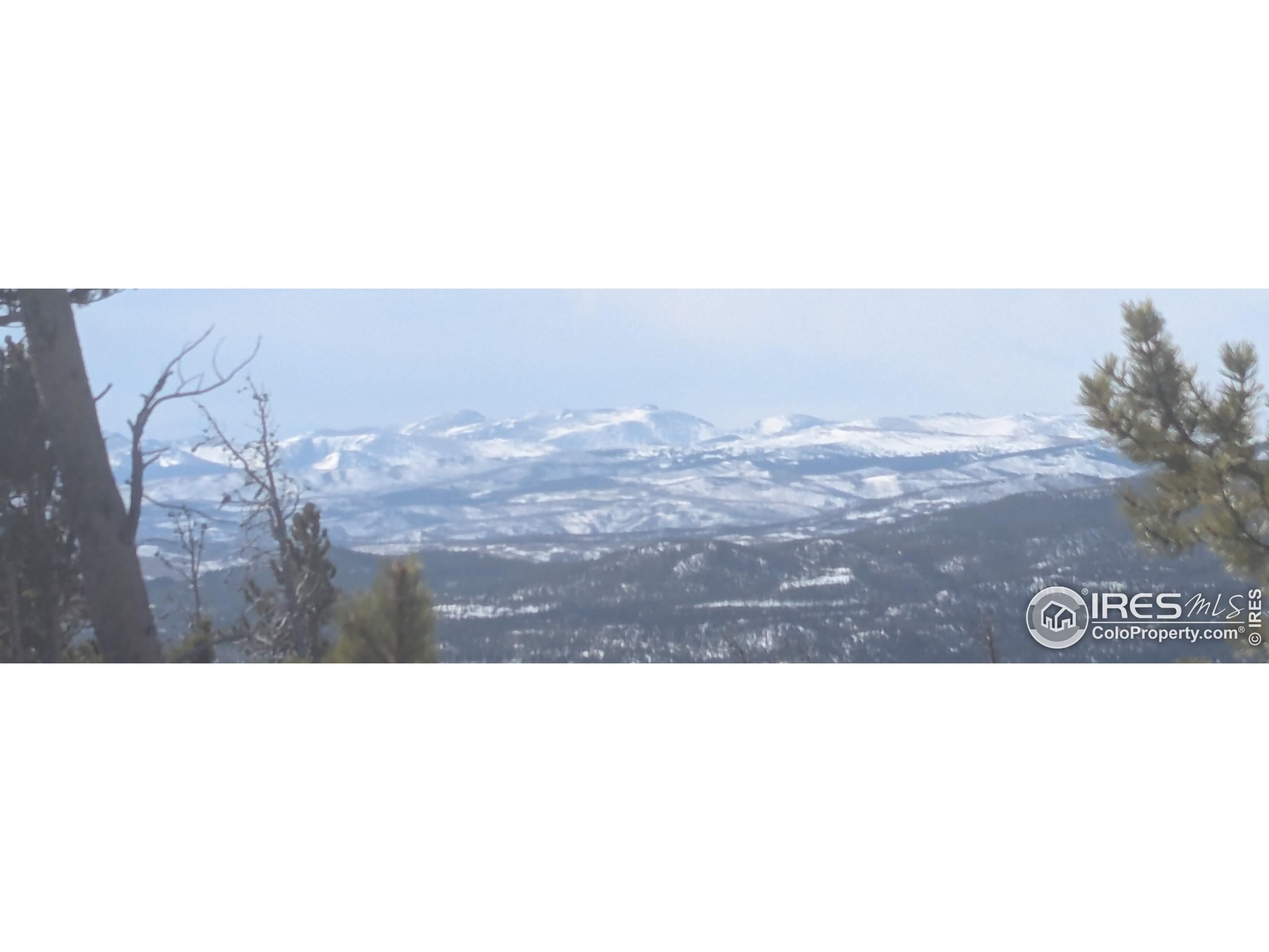 2182 Osage Trail Red Feather Lakes, CO 80545 - Photo 20 of 43