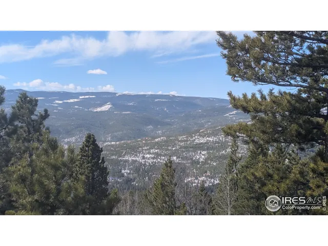 a black and white photo of a park