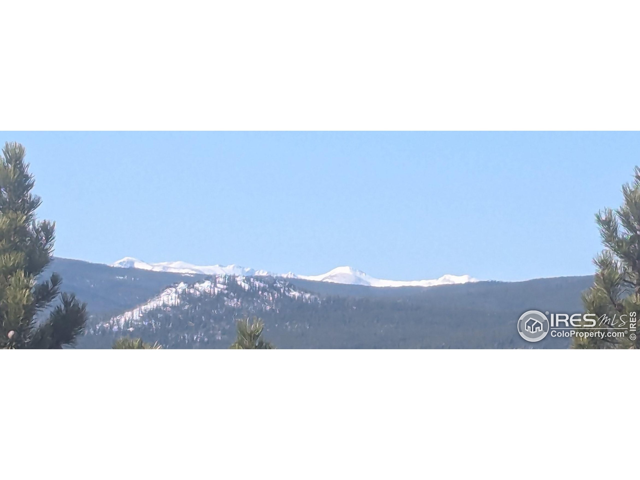 2182 Osage Trail Red Feather Lakes, CO 80545 - Photo 3 of 43