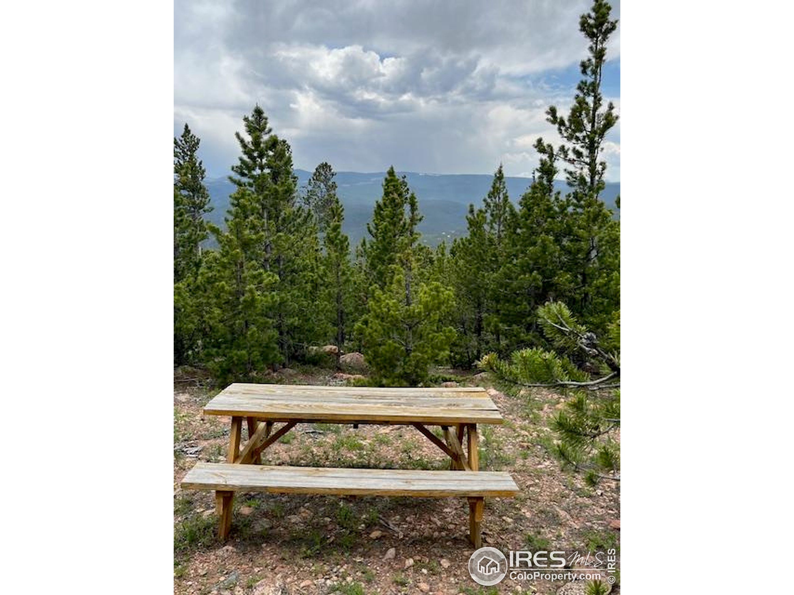 2182 Osage Trail Red Feather Lakes, CO 80545 - Photo 32 of 43 a view of a bench in the backyard