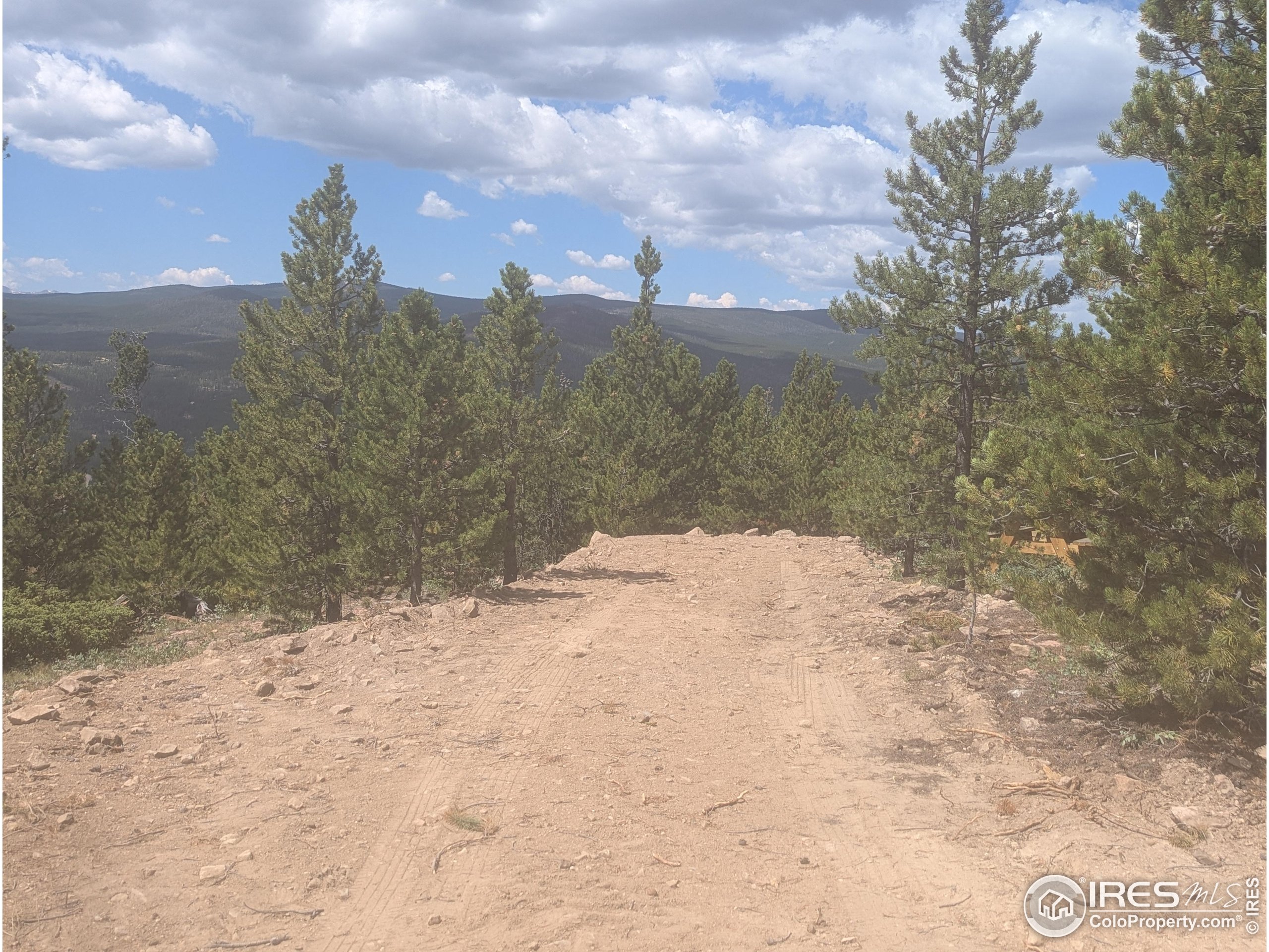 2182 Osage Trail Red Feather Lakes, CO 80545 - Photo 34 of 43 a view of a yard covered in snow