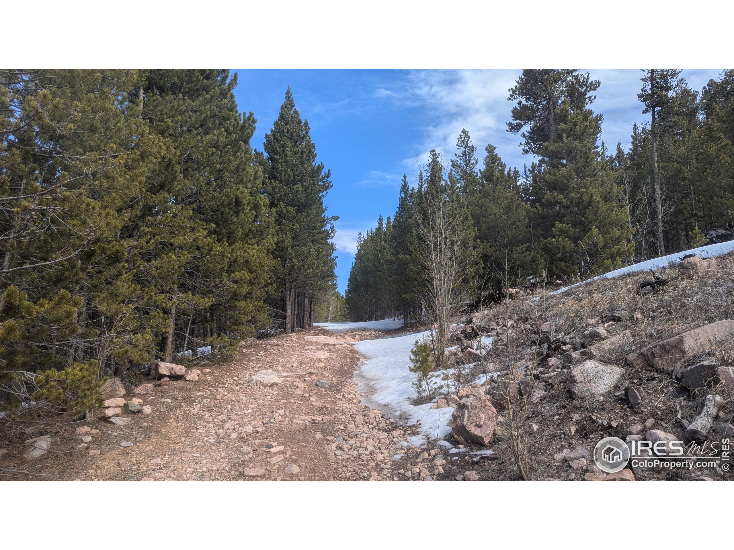 2182 Osage Trail Red Feather Lakes, CO 80545 - Photo 37 of 43 a outdoor view