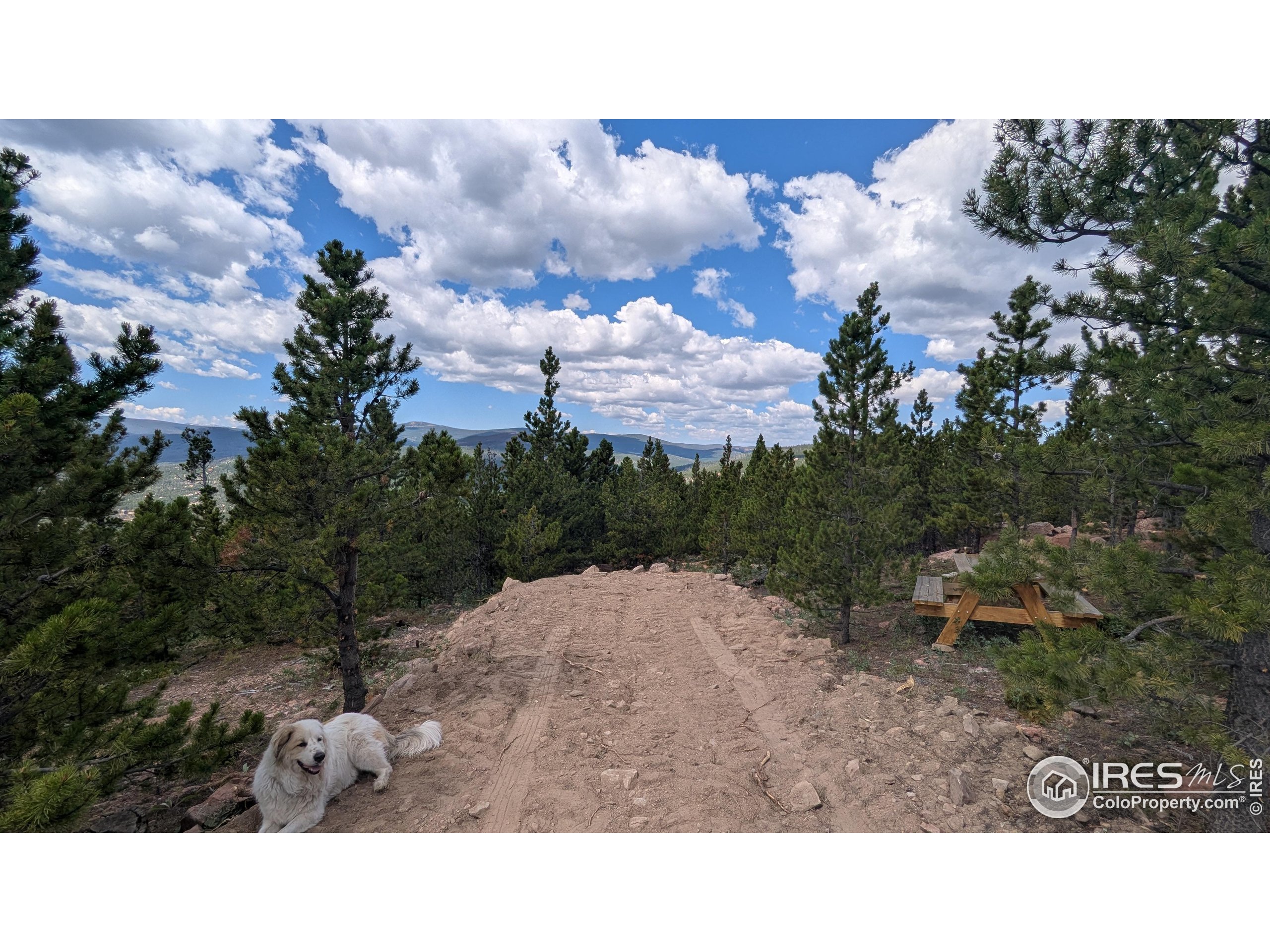 2182 Osage Trail Red Feather Lakes, CO 80545 - Photo 38 of 43 a black and white photo of a house