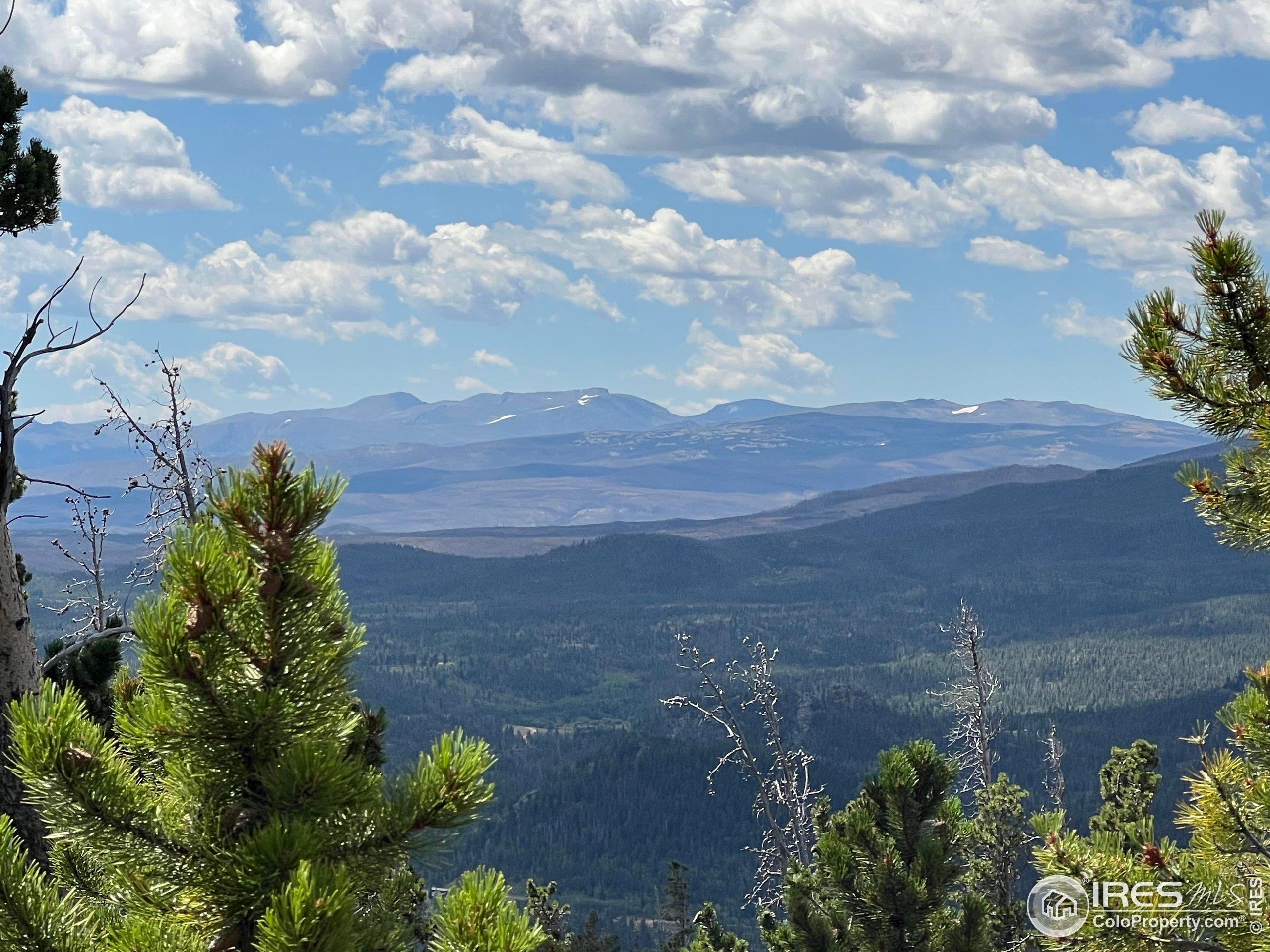 2182 Osage Trail Red Feather Lakes, CO 80545 - Photo 4 of 43