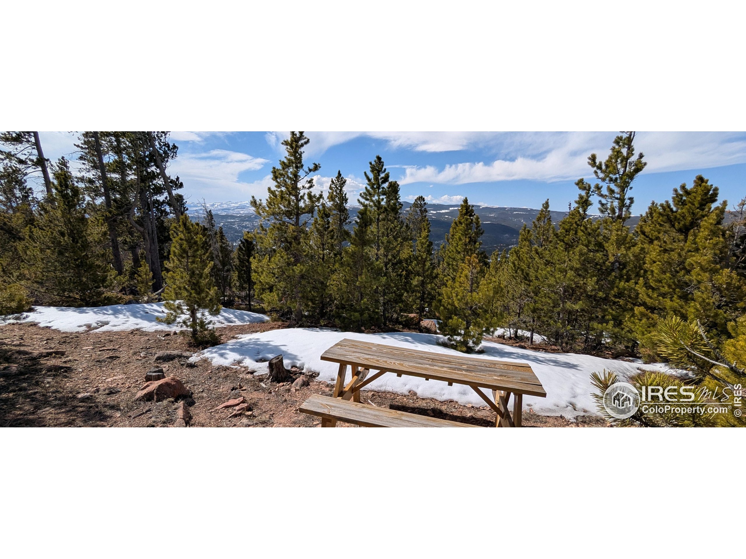 2182 Osage Trail Red Feather Lakes, CO 80545 - Photo 42 of 43