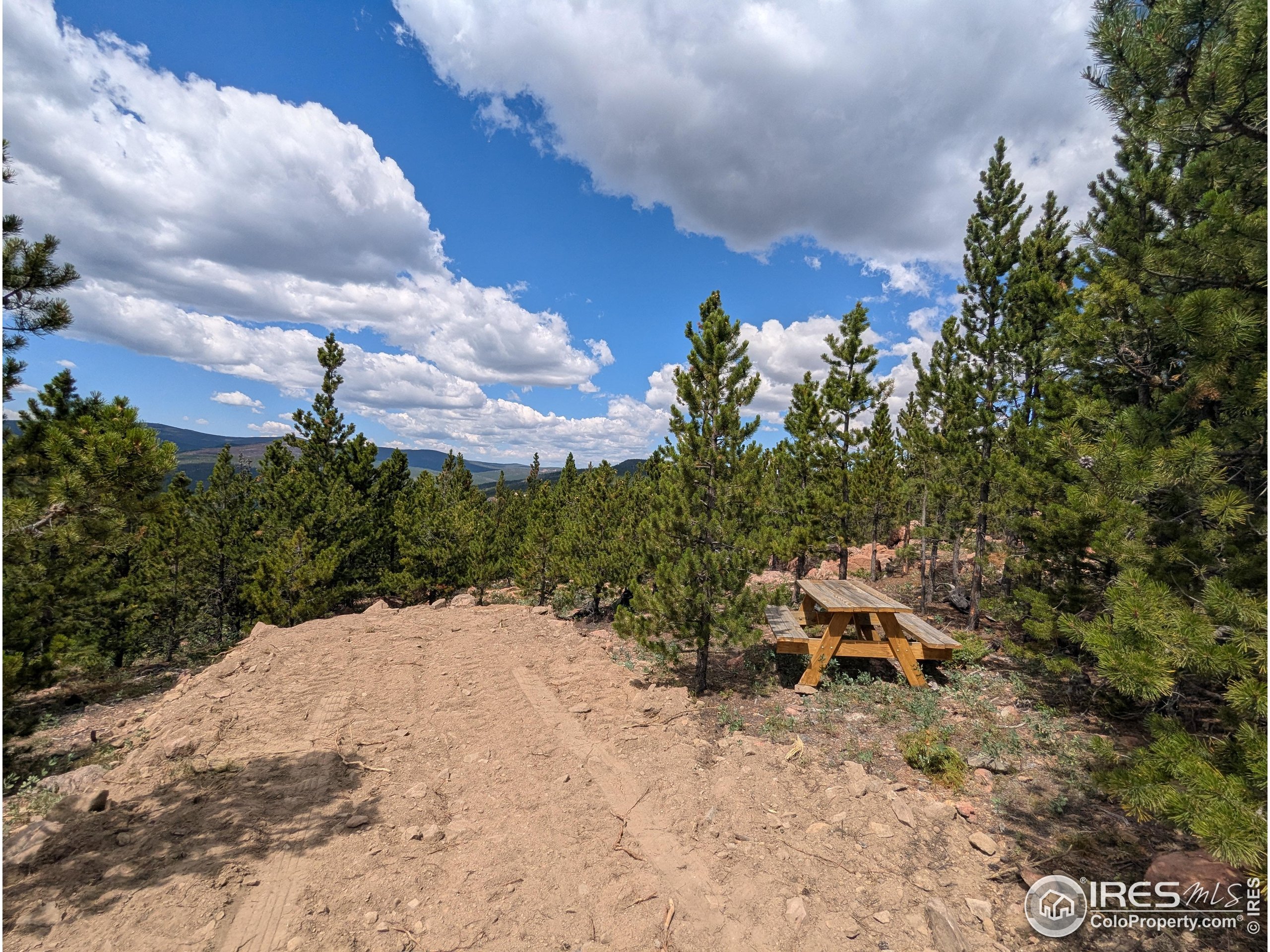 2182 Osage Trail Red Feather Lakes, CO 80545 - Photo 5 of 43 a view of a backyard
