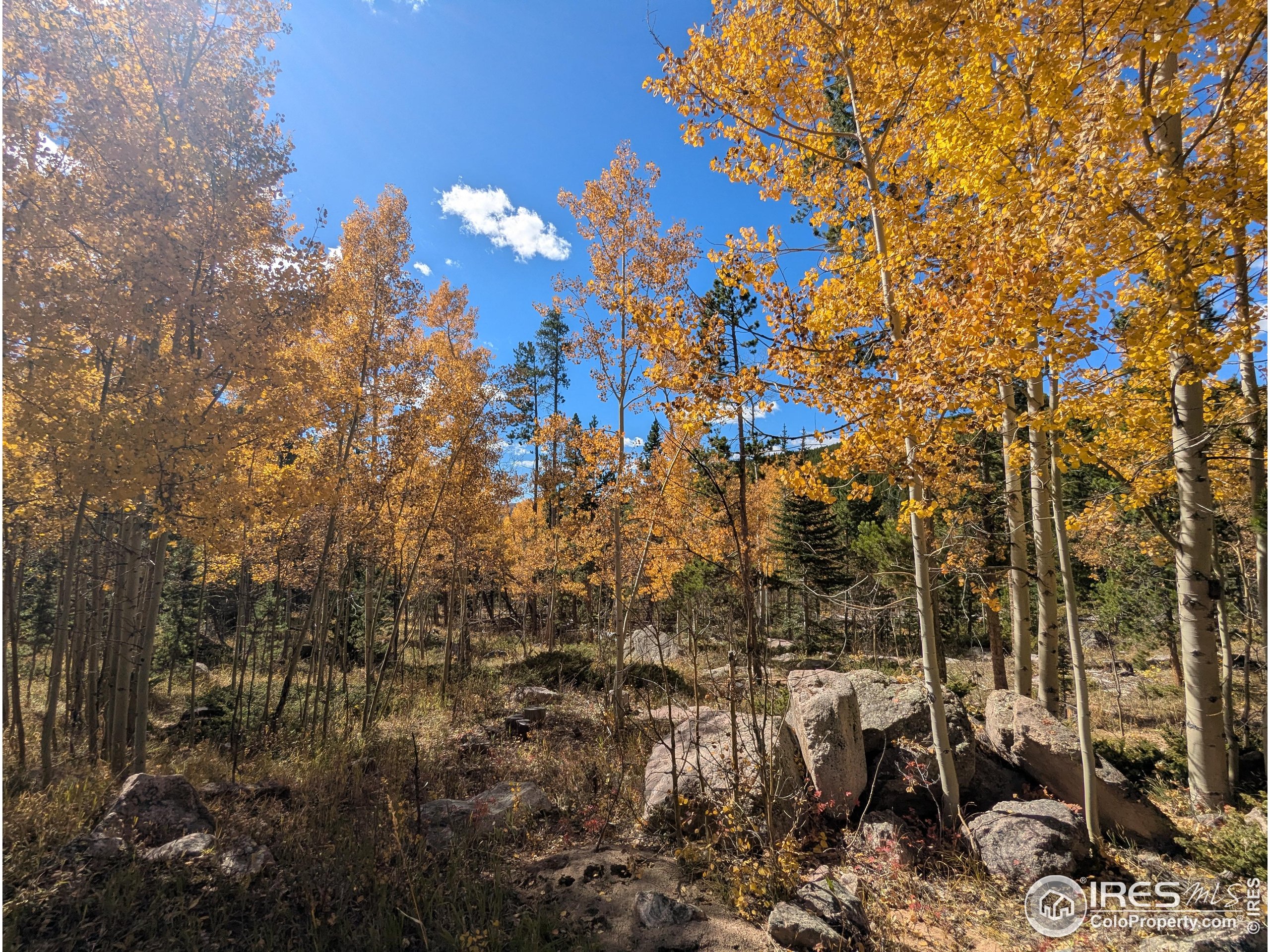 2182 Osage Trail Red Feather Lakes, CO 80545 - Photo 6 of 43 a view of a city