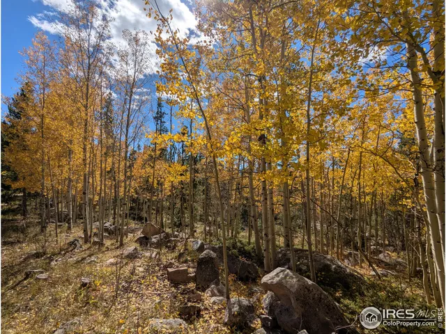a view of a pathway with a yard