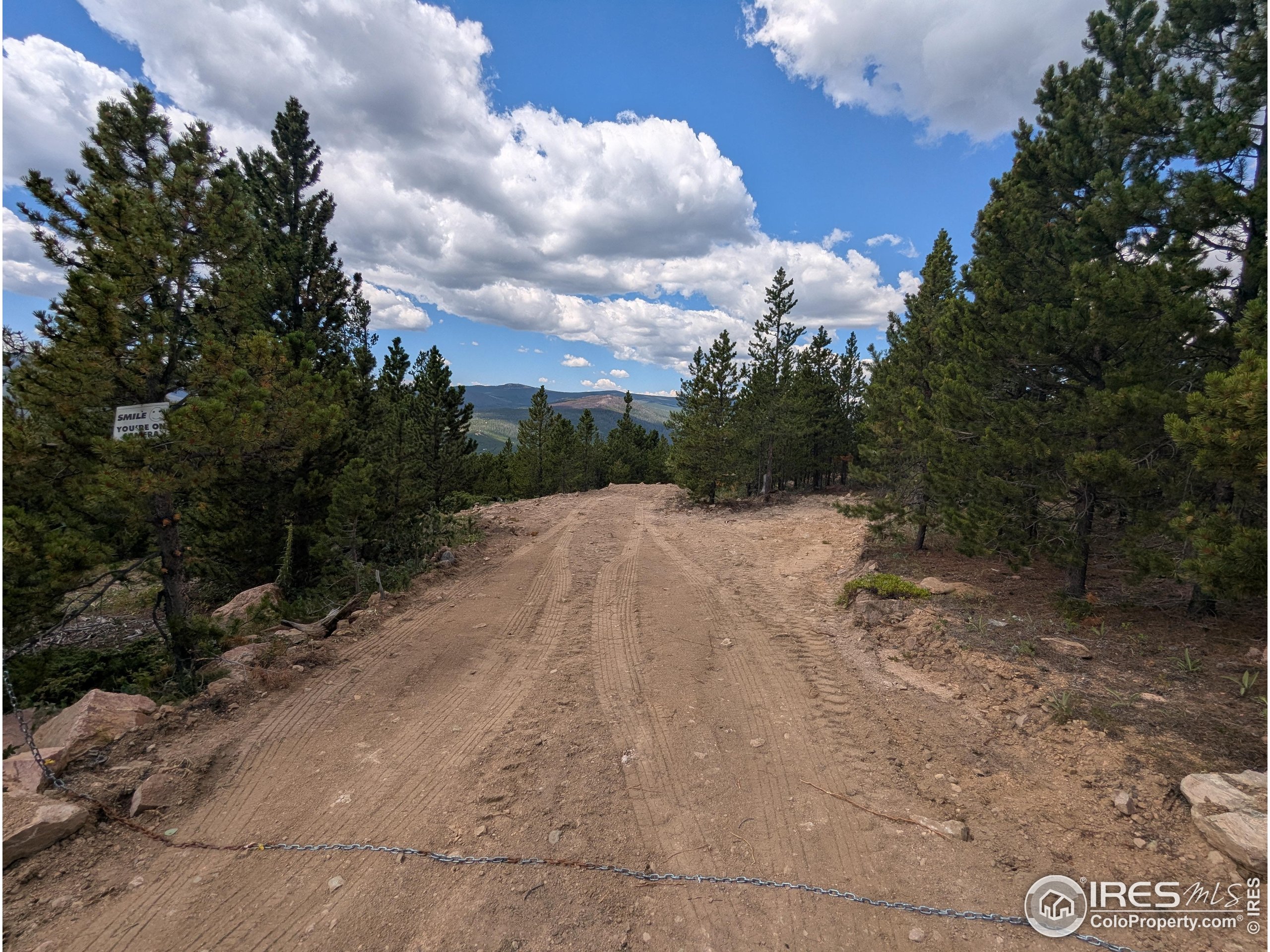 2182 Osage Trail Red Feather Lakes, CO 80545 - Photo 10 of 43 a view of a pathway with a yard