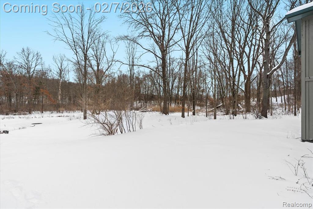 411 Rush Lake Road Pinckney, MI 48169 - Photo 40 of 56 Gallery Image 40