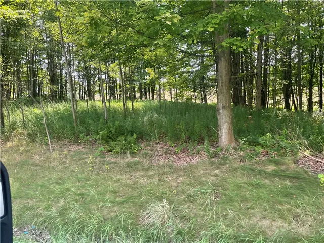 $25,000 | 206 State Highway, Sidney Center, NY 13839