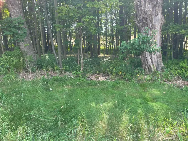 $25,000 | 206 State Highway, Sidney Center, NY 13839