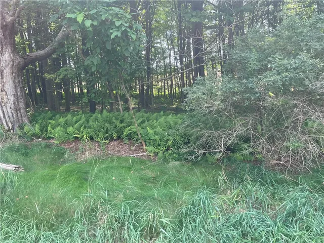 $25,000 | 206 State Highway, Sidney Center, NY 13839