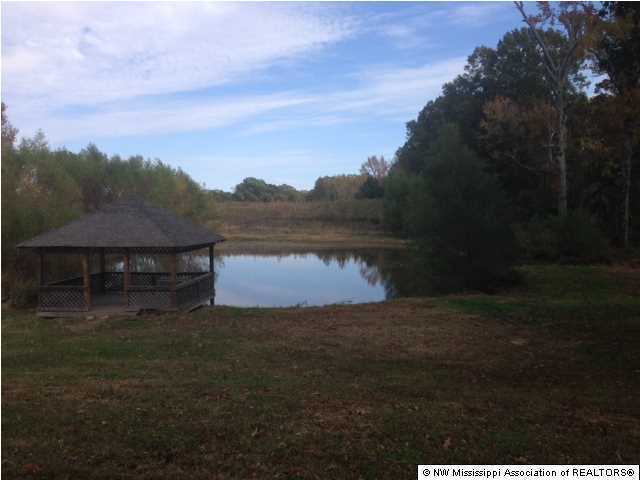 2830 Veazey Road Senatobia, MS 38668 - Photo 3 of 14 Additional Photo