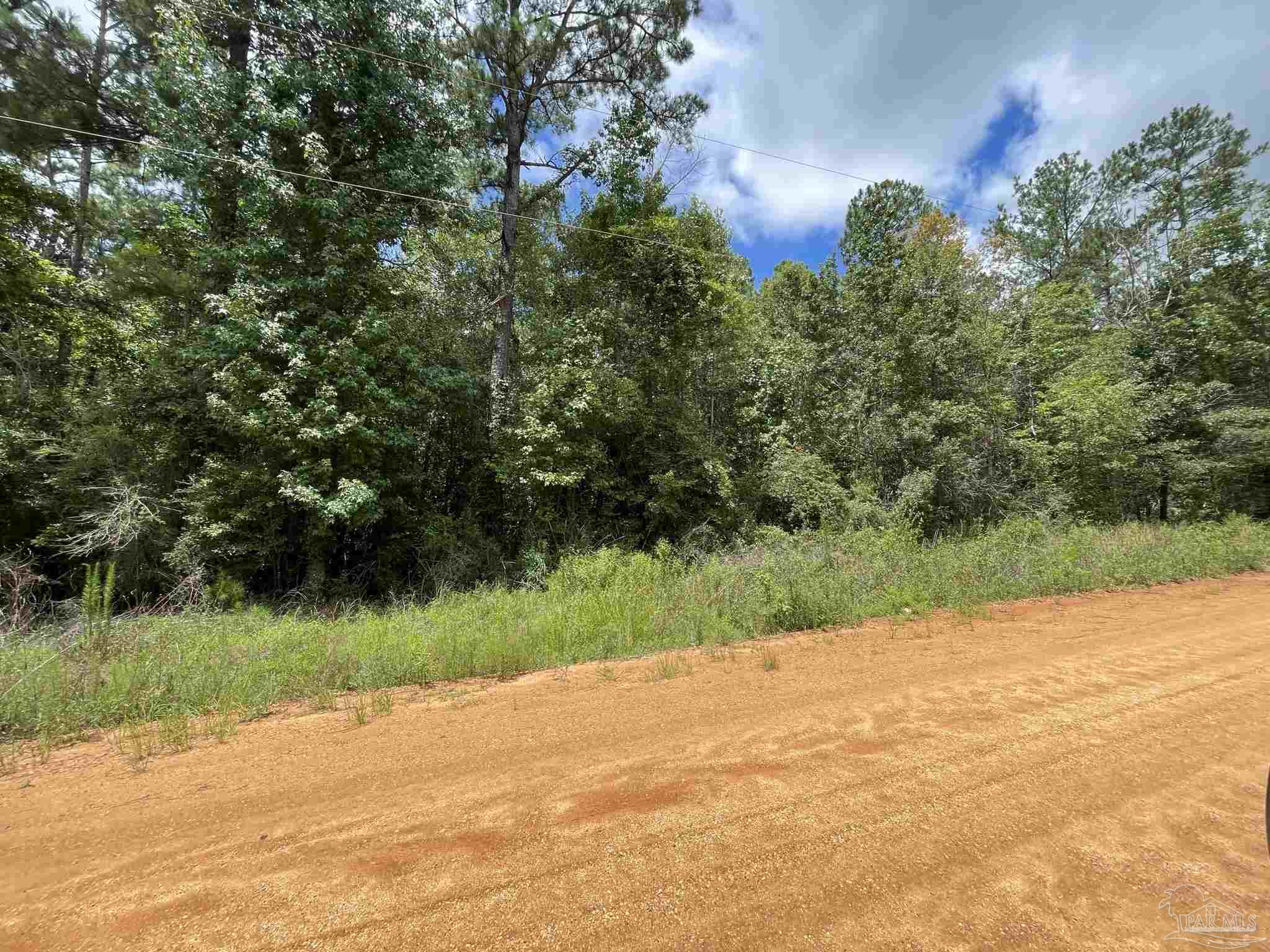 1 Friendship Road, Unit 7AC Flomaton, AL 36441 - Photo 3 of 13