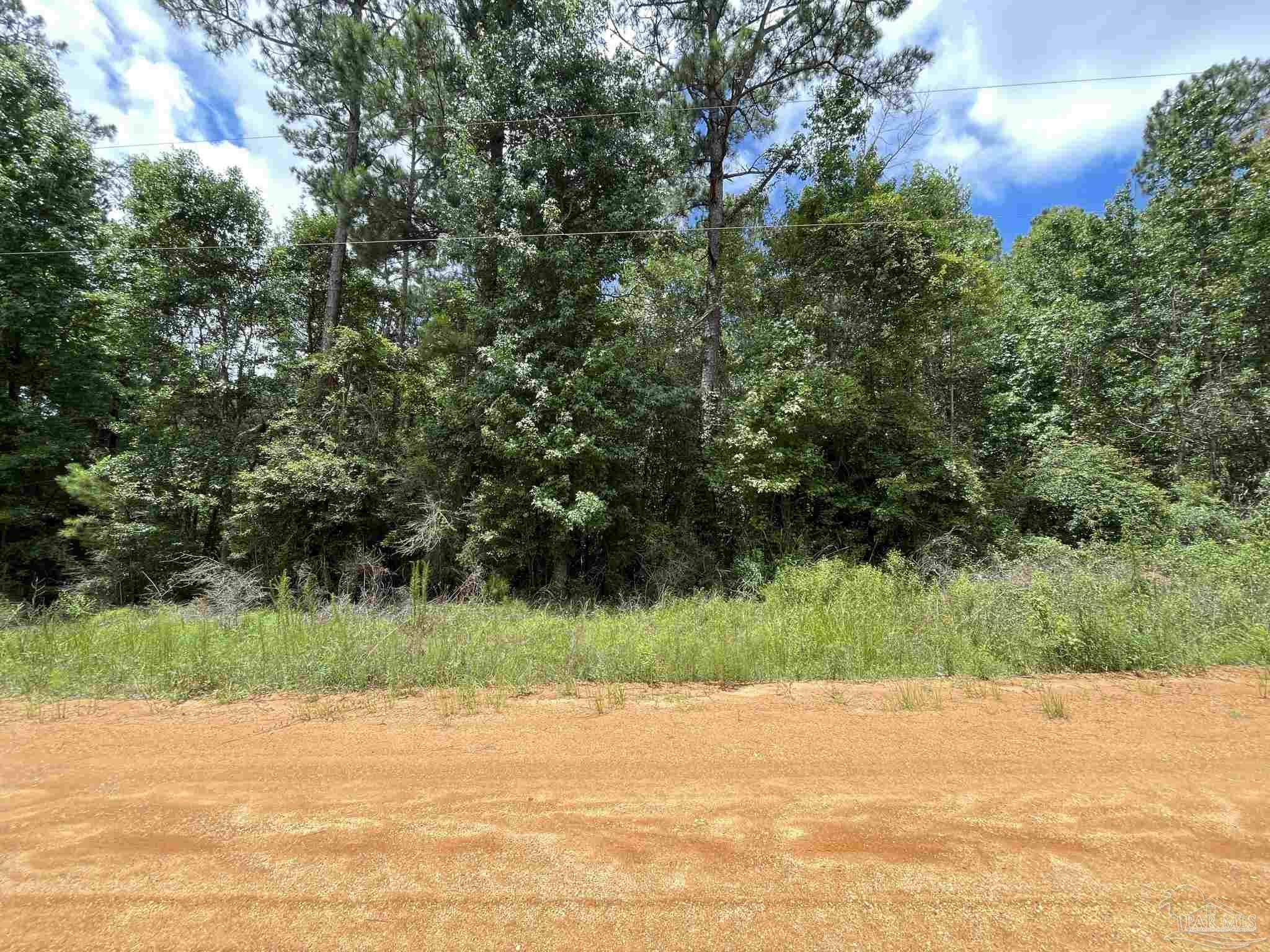 1 Friendship Road, Unit 7AC Flomaton, AL 36441 - Photo 4 of 13