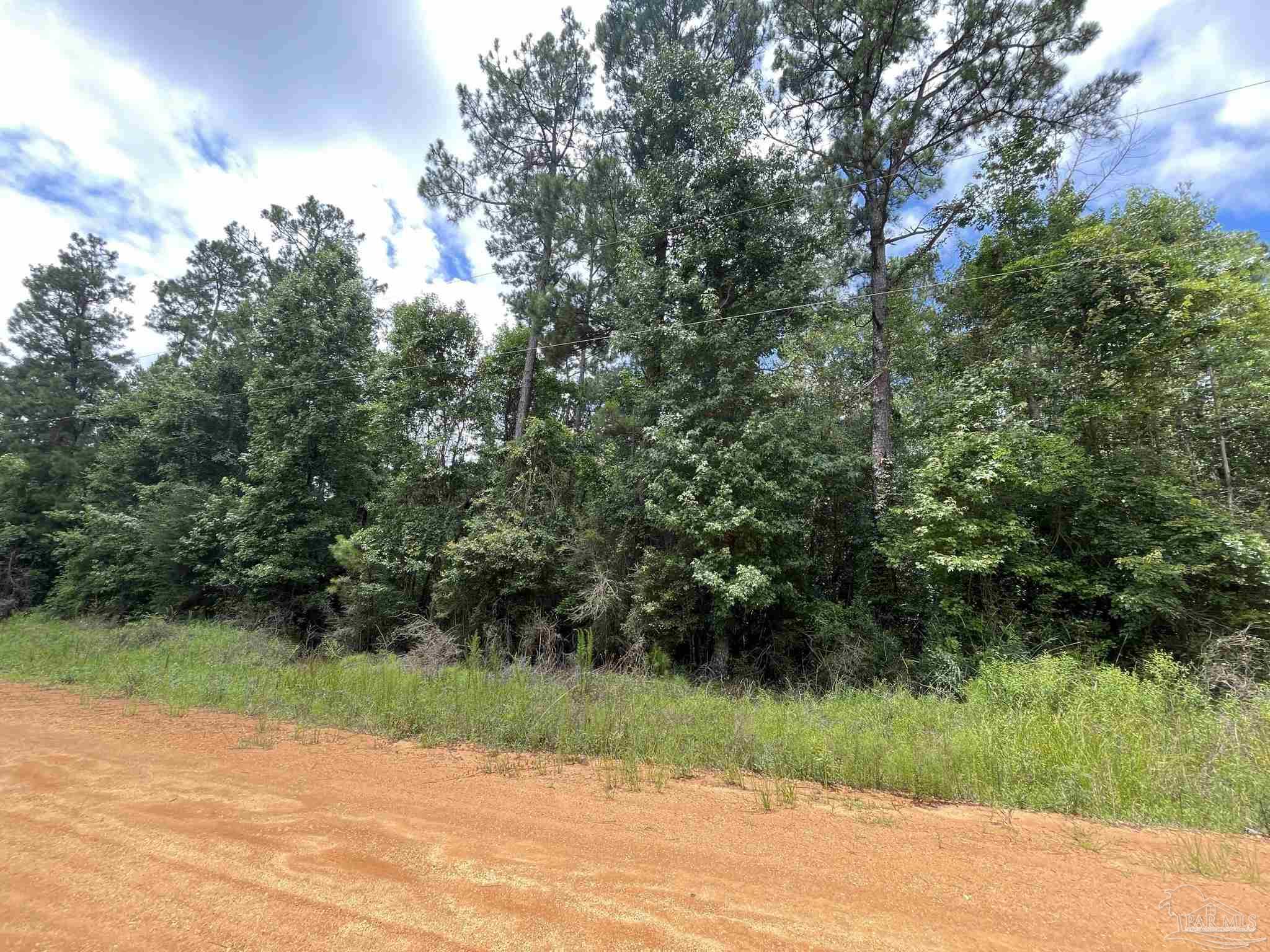 1 Friendship Road, Unit 7AC Flomaton, AL 36441 - Photo 5 of 13