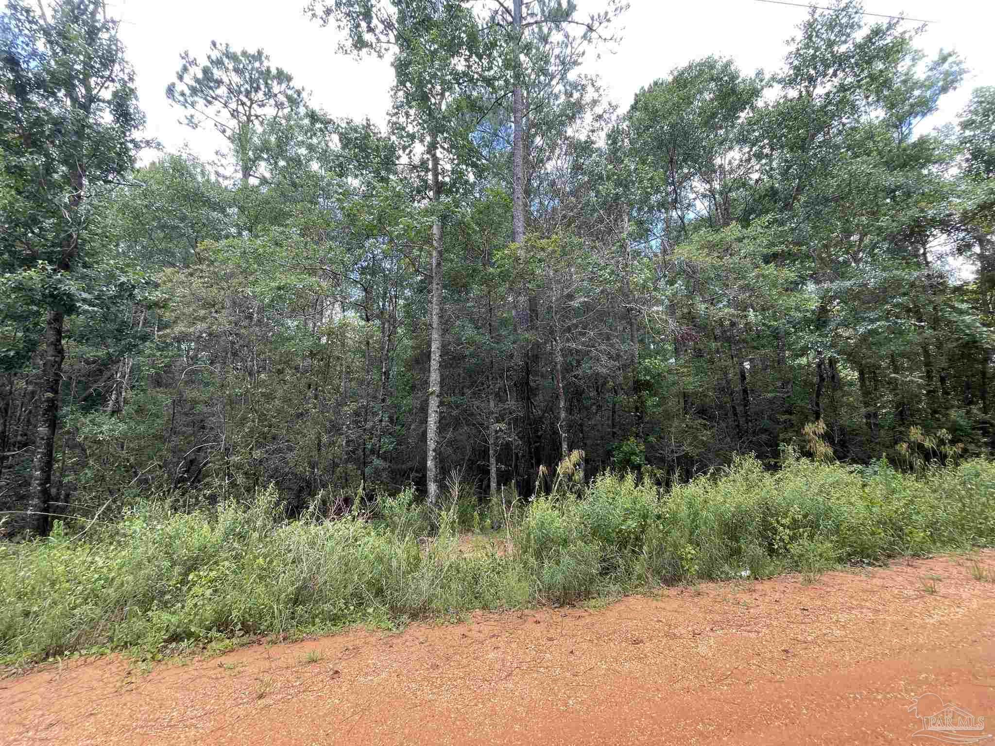 1 Friendship Road, Unit 7AC Flomaton, AL 36441 - Photo 6 of 13