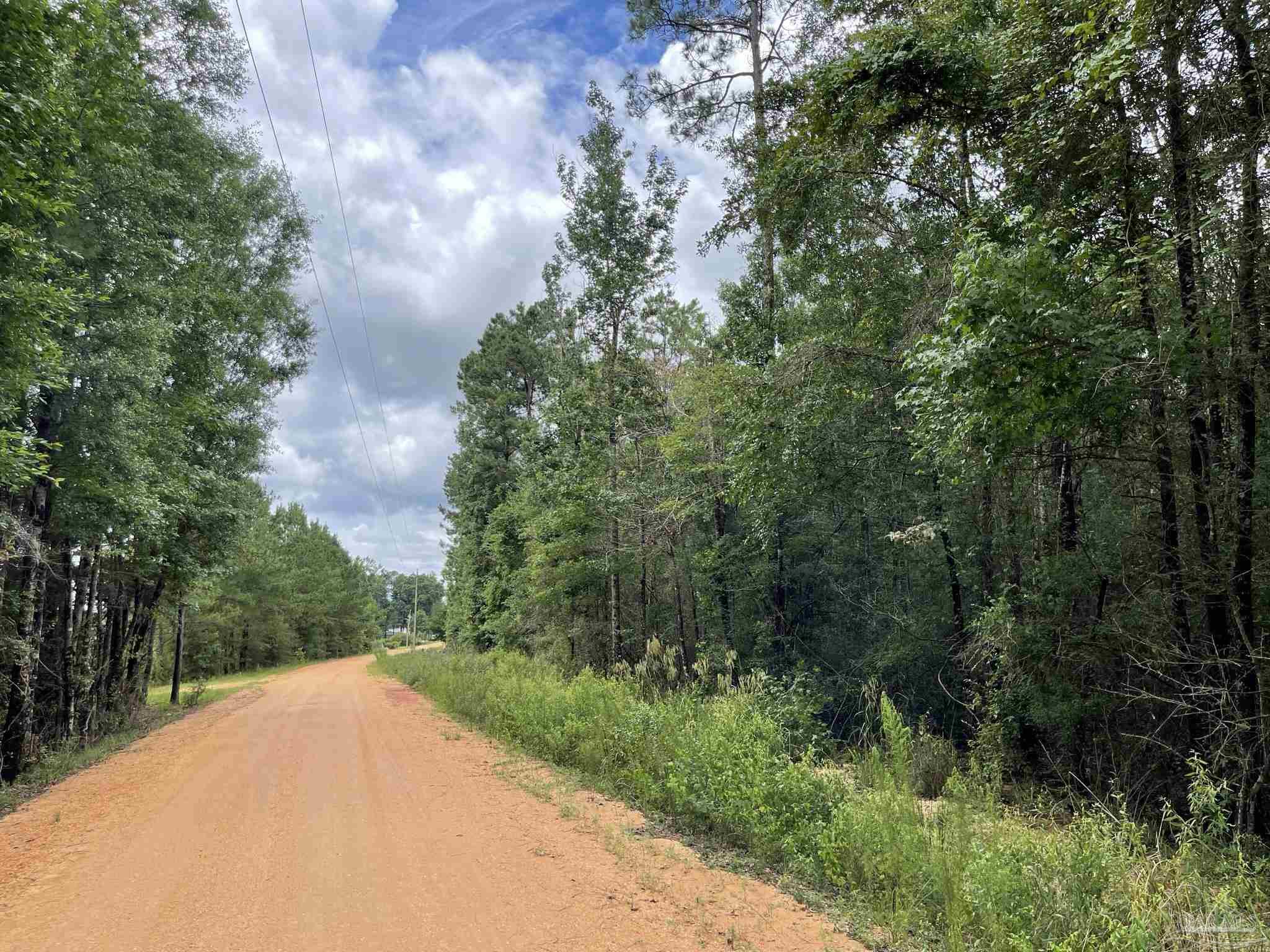 1 Friendship Road, Unit 7AC Flomaton, AL 36441 - Photo 10 of 13