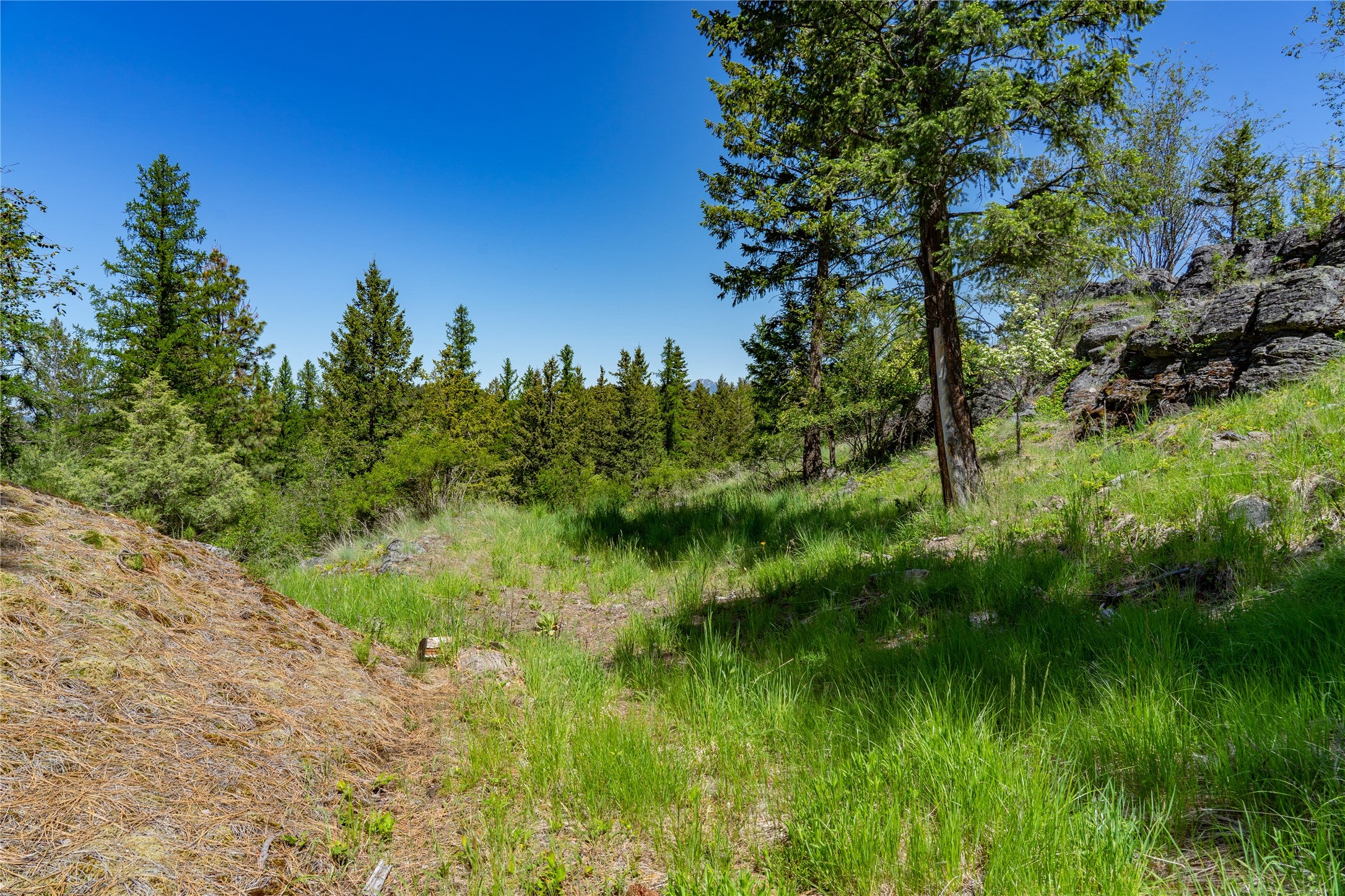 1193 Whispering Rock Road Bigfork, MT 59911 - Photo 16 of 48 Gallery Image 16