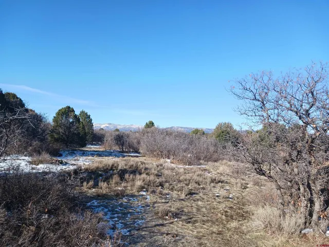 $160,000 | Tbd North Avalon Drive, Norwood, CO 81423