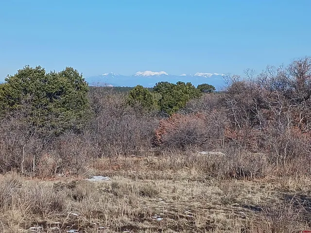$160,000 | Tbd North Avalon Drive, Norwood, CO 81423