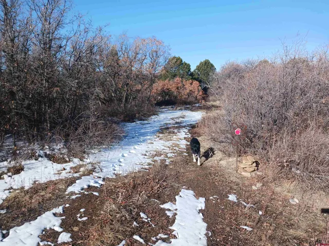 $160,000 | Tbd North Avalon Drive, Norwood, CO 81423
