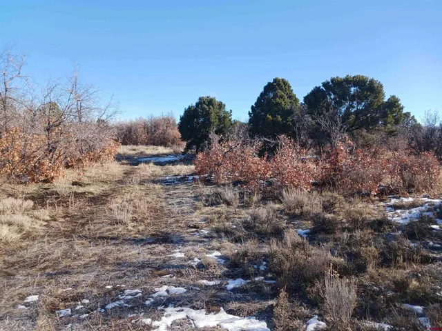 $160,000 | Tbd North Avalon Drive, Norwood, CO 81423