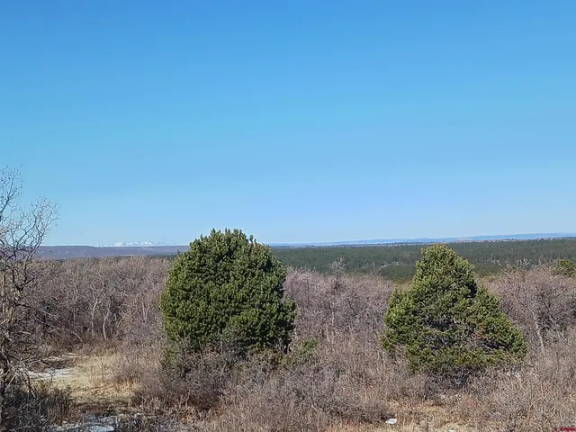 $160,000 | Tbd North Avalon Drive, Norwood, CO 81423