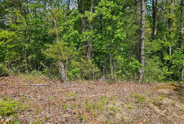 $19,900 | Sutherland Drive, Helenwood, TN 37755