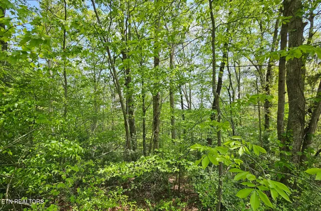 $19,900 | Sutherland Drive, Helenwood, TN 37755