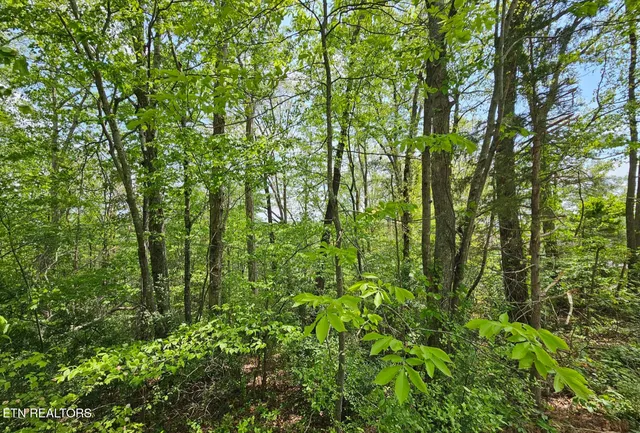 $19,900 | Sutherland Drive, Helenwood, TN 37755