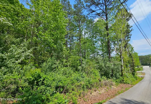 $19,900 | Sutherland Drive, Helenwood, TN 37755