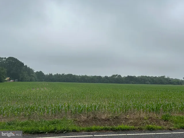 a view of a lake with a city