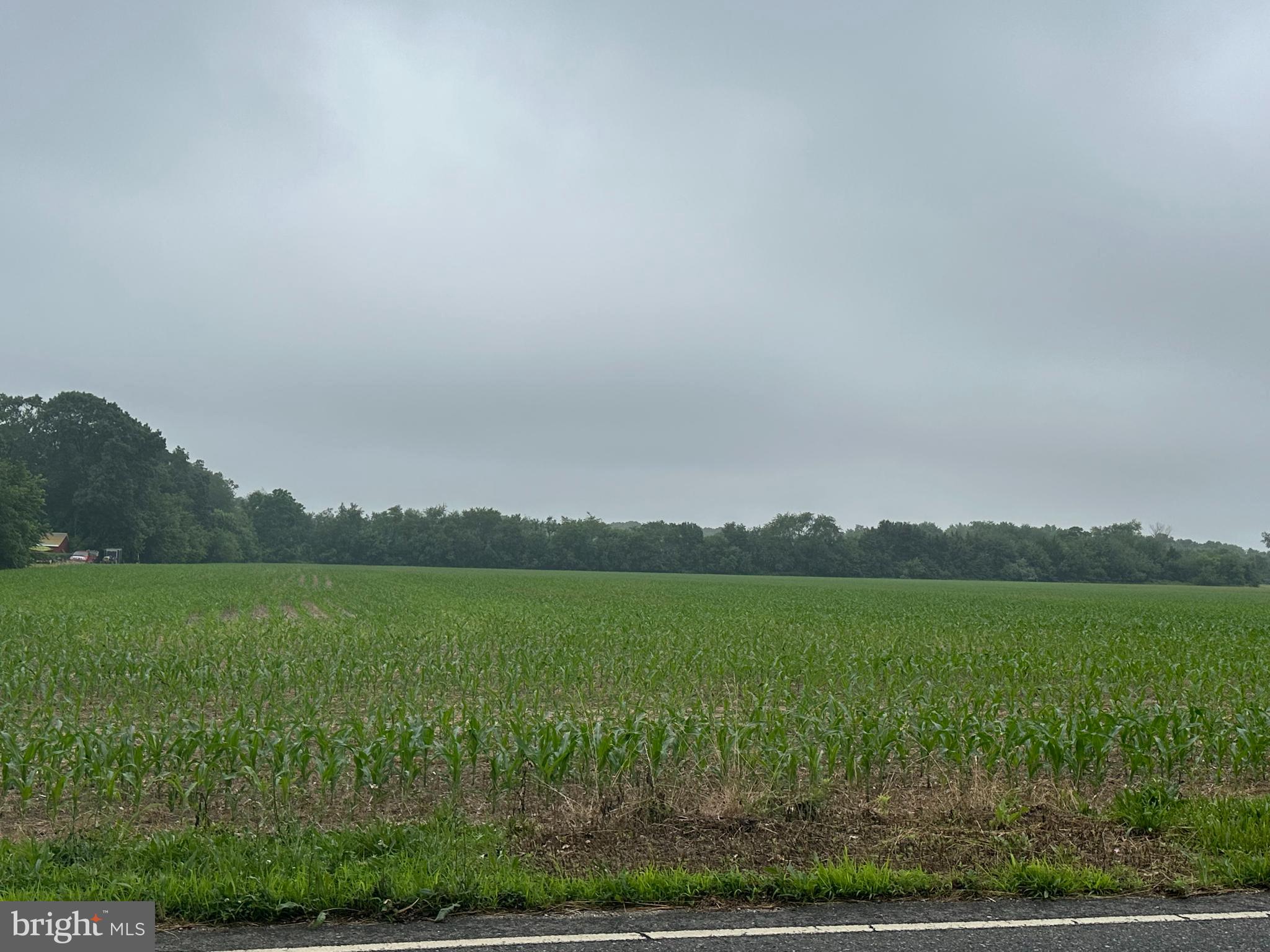 a view of a lake with a city