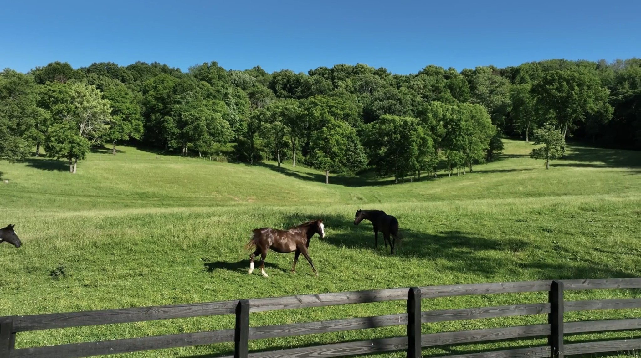 9553 Clovercroft Road Franklin, TN 37067 - Photo 22 of 33 Gallery Image 22