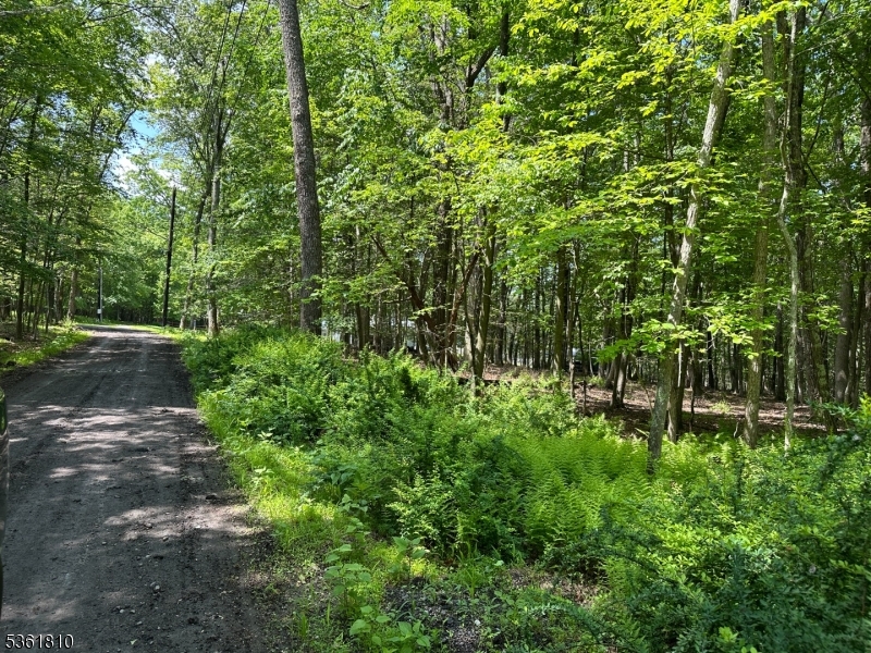 0 Devita Road Branchville, NJ 07826 - Photo 3 of 4 a backyard of a house with lots of green space and fountain