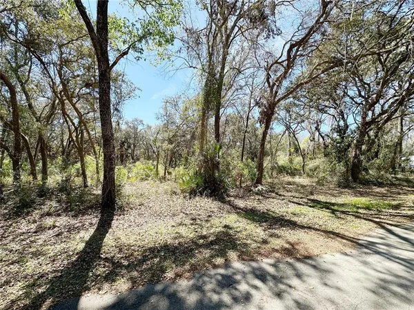 $22,000 | Tbd Northwest 110 Circle, Chiefland, FL 32626