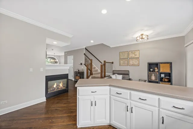 $485,000 | 822 Shandrew Drive, Naperville, IL 60540