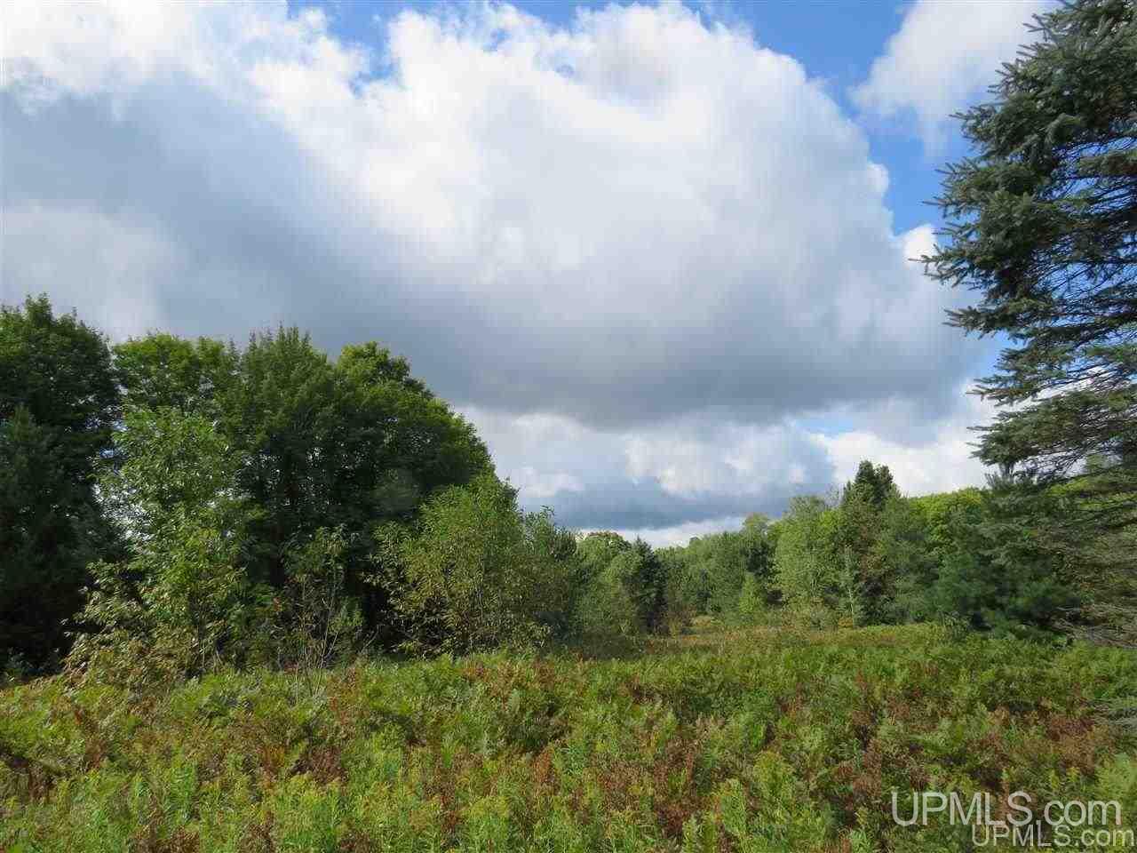 Tbd Off Lake On Three Road Trout Creek, MI 49967 - Photo 45 of 50