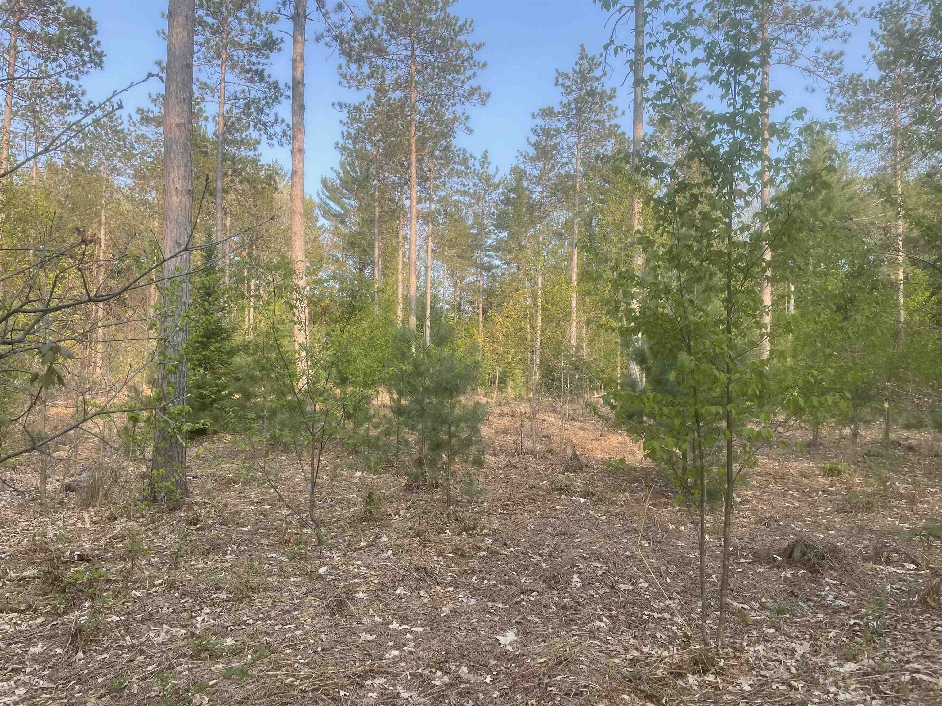Lot G Lot G Riley, Unit LOT: G Interlochen, MI 49643 - Photo 2 of 10